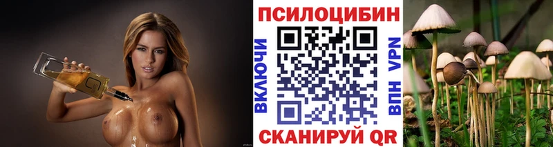 наркота  мориарти какой сайт  Псилоцибиновые грибы ЛСД  Заречный 